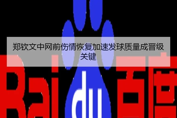 郑钦文中网前伤情恢复加速发球质量成晋级关键
